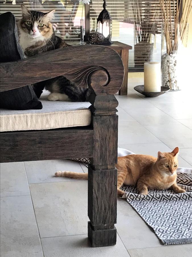 Villa Kelapa Langkawi Kuah Dış mekan fotoğraf
